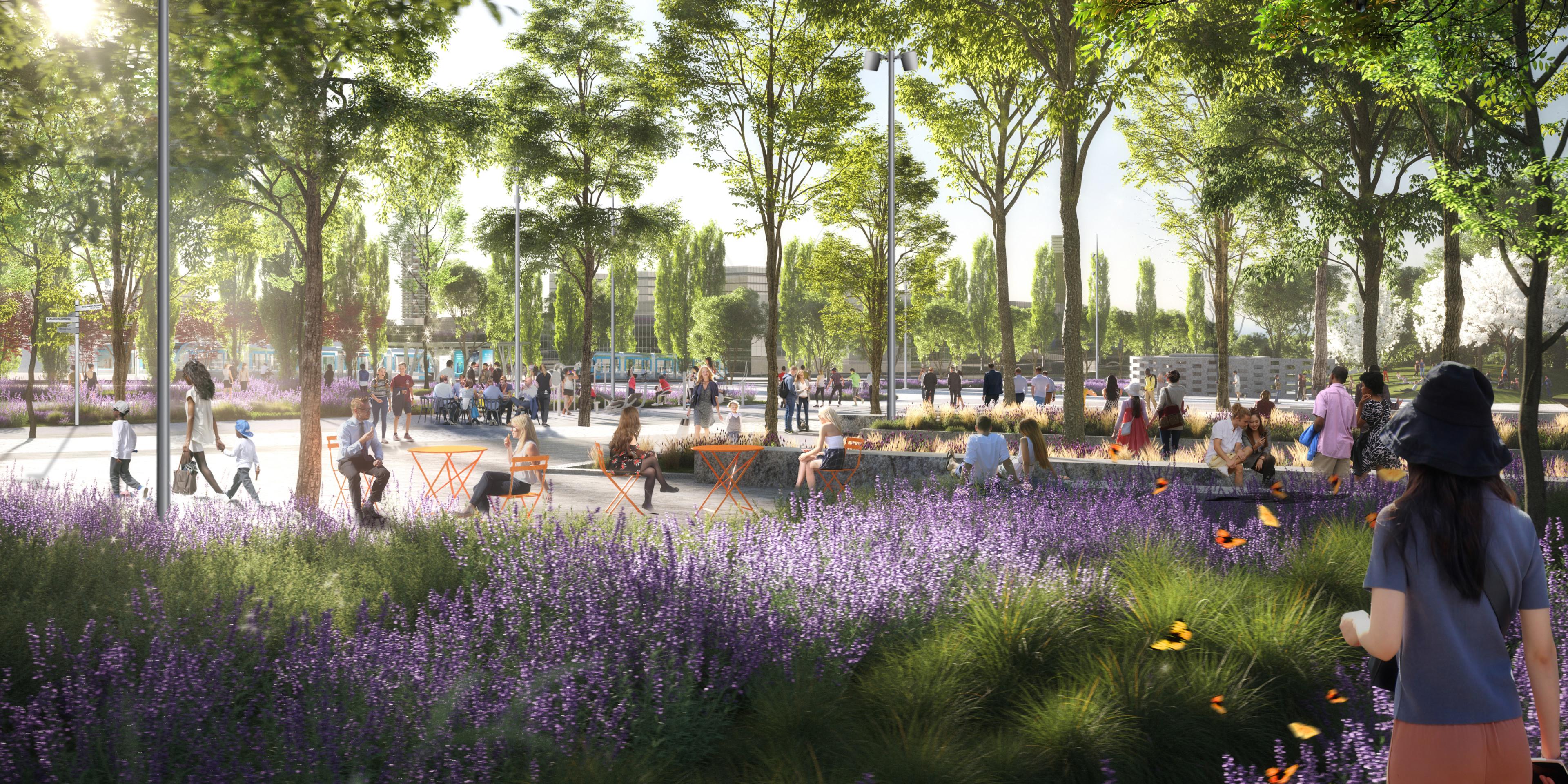 The Ellinikon Newsletter – Issue #5 