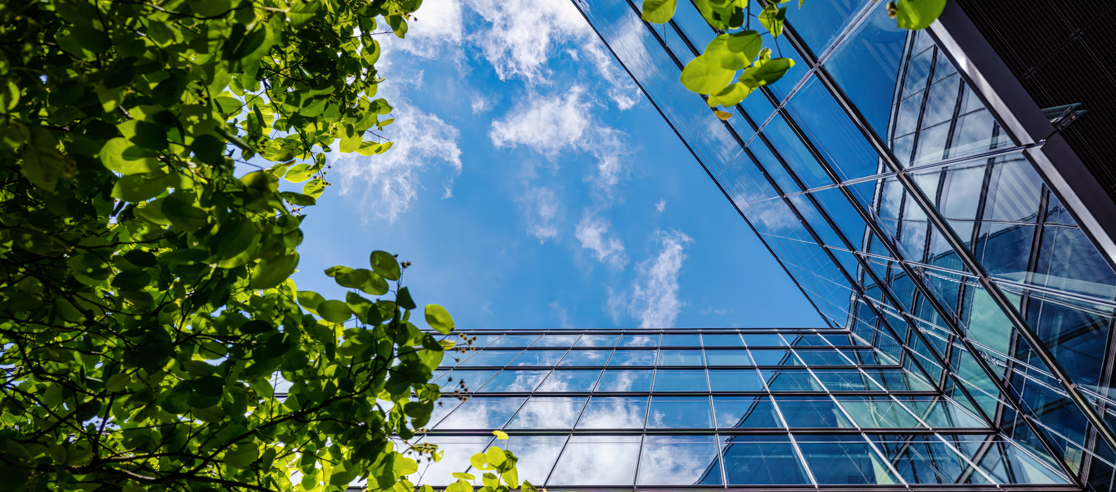 Ένας σύγχρονος τρόπος εργασίας