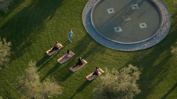 zen garden