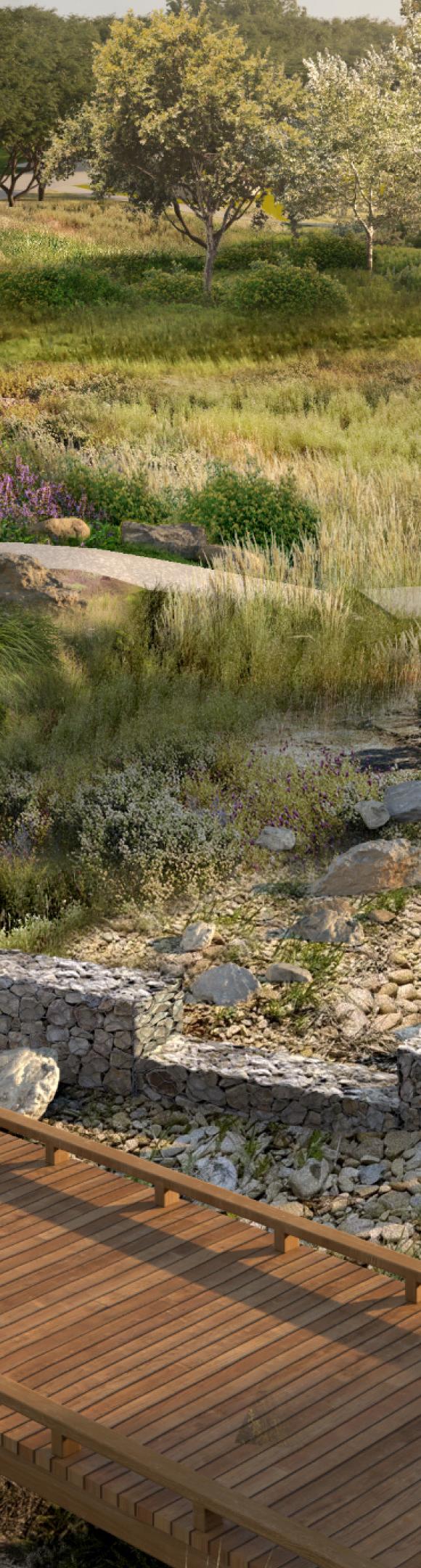 Απανθρακοποίηση