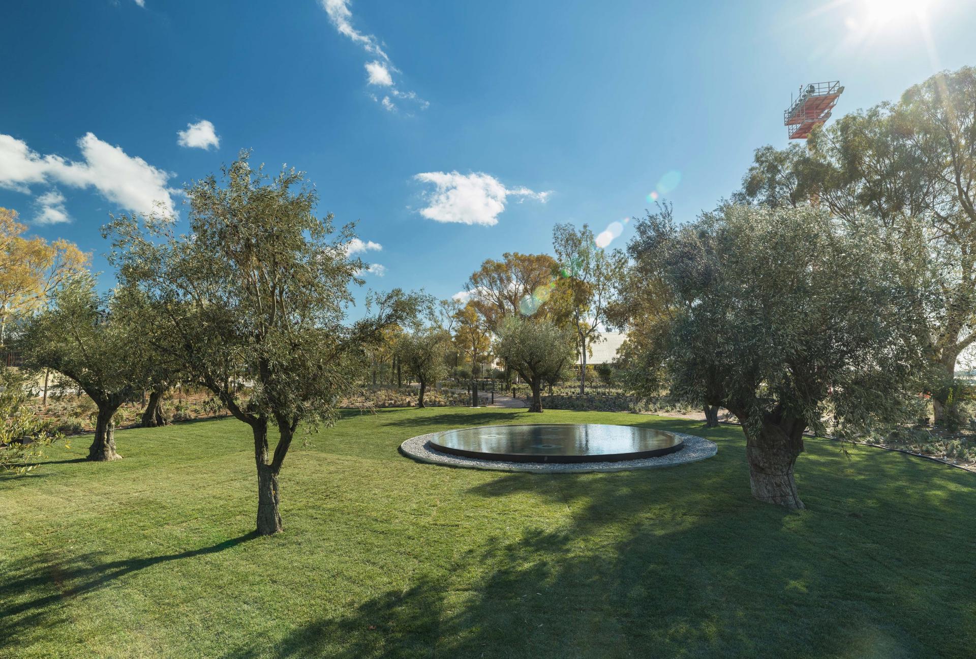 Experience Park_ Zen Garden