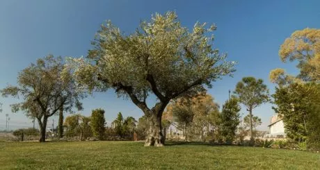 The Ellinikon Experience Park