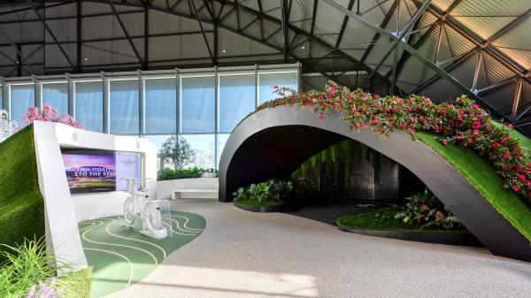 LIVING IN THE NATURE